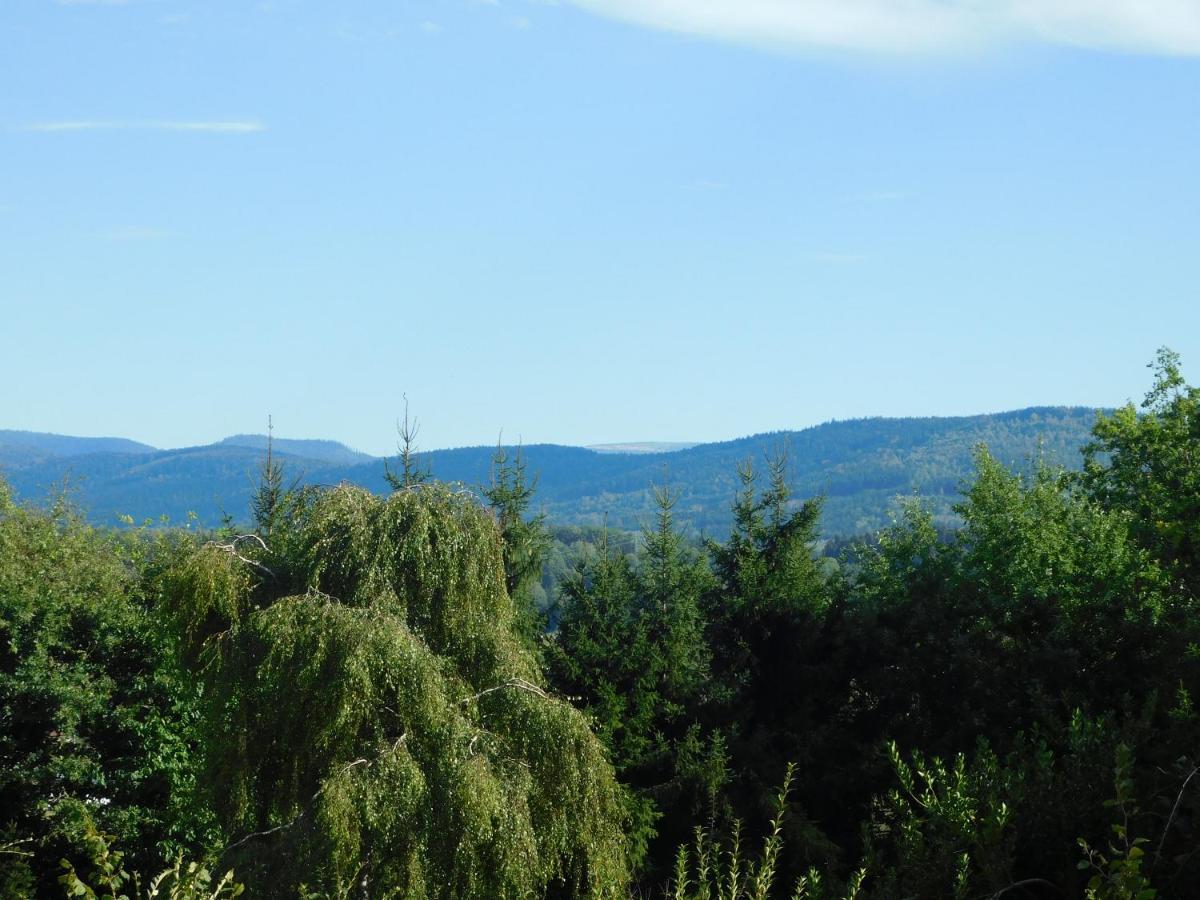 L'Amandaure Bed & Breakfast Saulcy-sur-Meurthe ภายนอก รูปภาพ