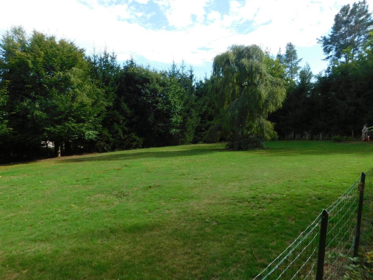 L'Amandaure Bed & Breakfast Saulcy-sur-Meurthe ภายนอก รูปภาพ