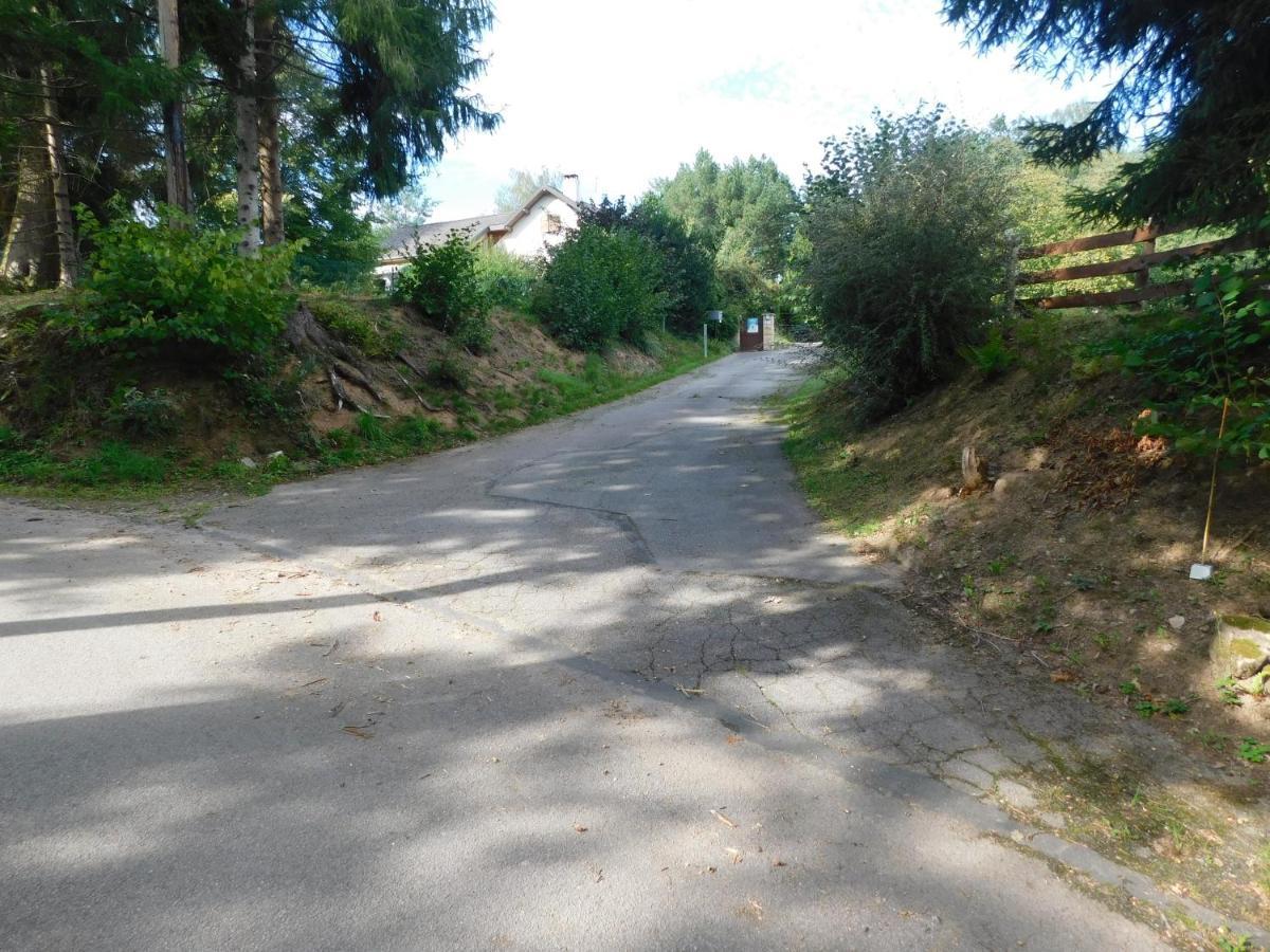 L'Amandaure Bed & Breakfast Saulcy-sur-Meurthe ภายนอก รูปภาพ
